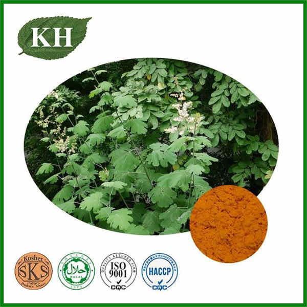 Macleaya cordata extract