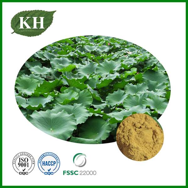 Lotus Leaf Extract.jpg